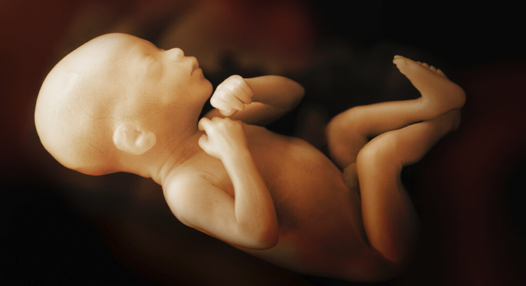 …Ireland: Dáil passes Sinn Féin abortion bill to scrap three-day wait