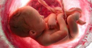 World Health Organization promotes at-home abortions as part of new ‘self-care’ guidelines